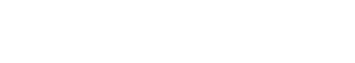 ACT Holding